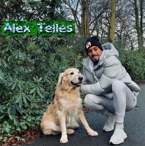 click this image to enter the main website